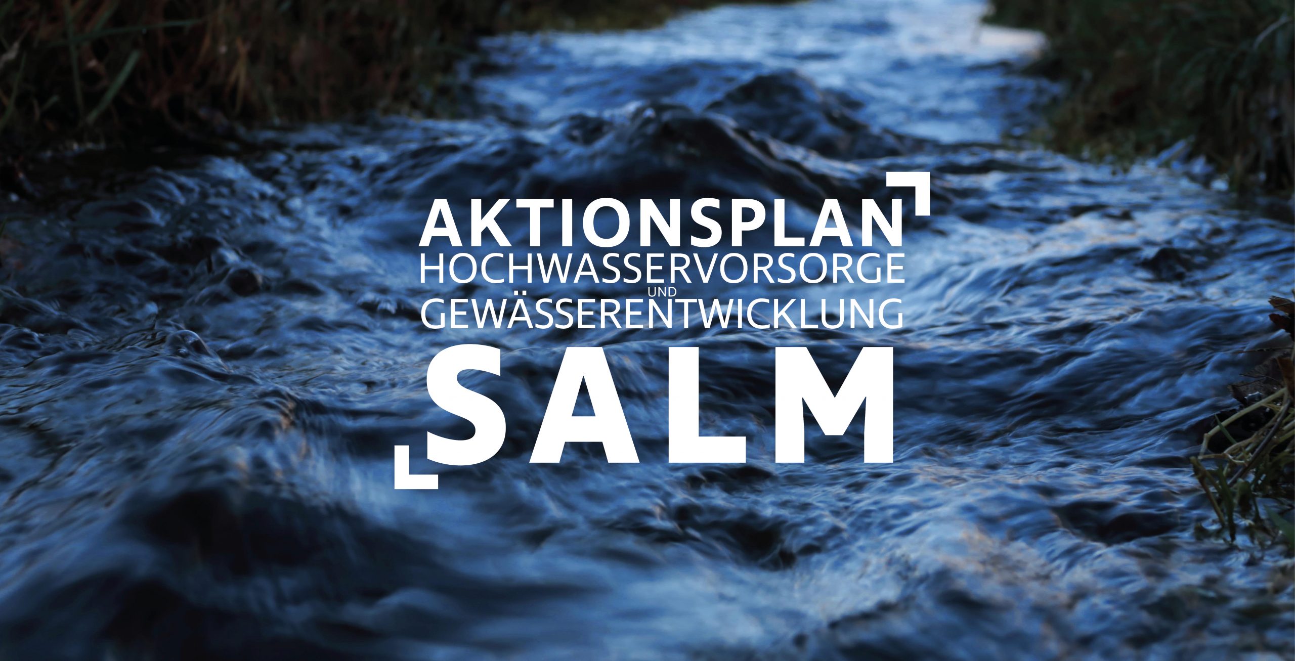 Beitragsbild für den Beitrag Aktionsplan Salm